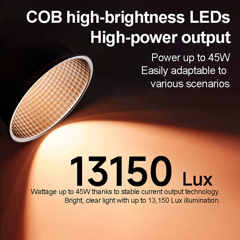 60W RGB Video Light Portable L - Torjim Rgb Photography Video Lighting 评论和价格